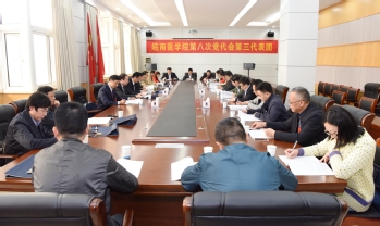 第三代表团 第三代表团